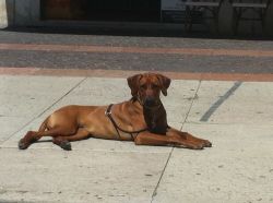 20110626_Makakadi_Hauptsache SONNE_0391